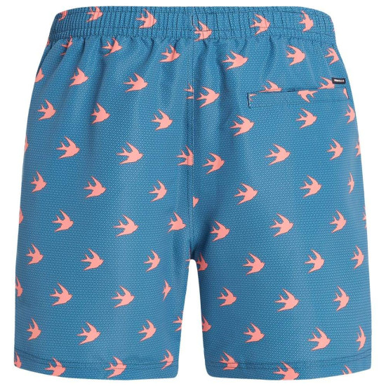 Protest Ανδρικό μαγιό Prtbaddow Protest Ανδρικό μαγιό Prtbaddow